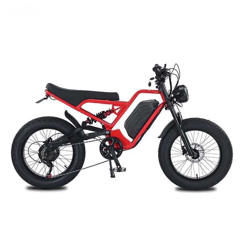 Литиевая батарея RRE QQA 13 Ач – обзор и цена 48V 1500W Rear Hub Motor With Battery